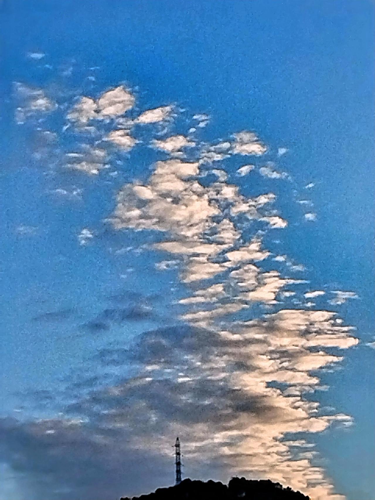 我手机里存着一张随手拍的照片，是下班路上抓拍的。那天加班到很晚，我心情有些低落。