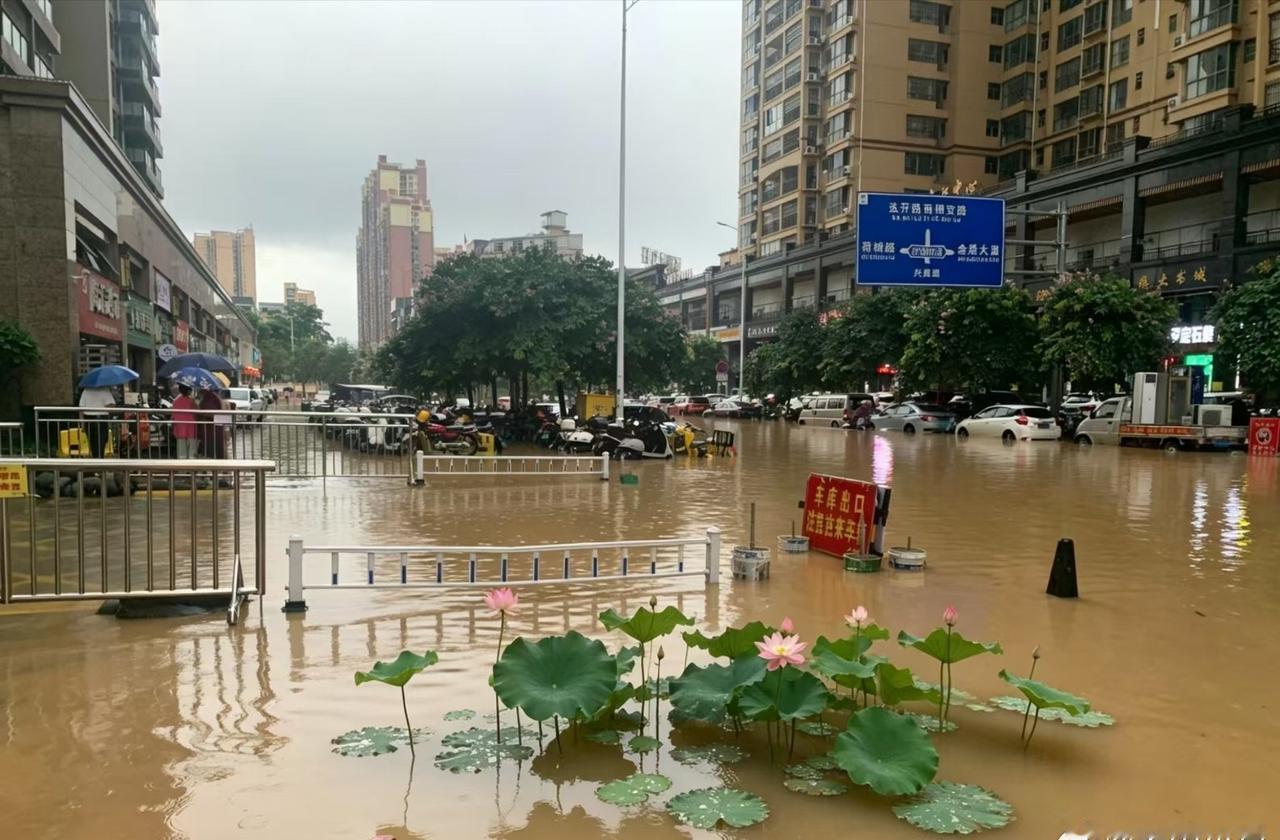 下了一晚上的暴雨，所在的小区位置高一点没事，低洼处就难搞了  ​​​