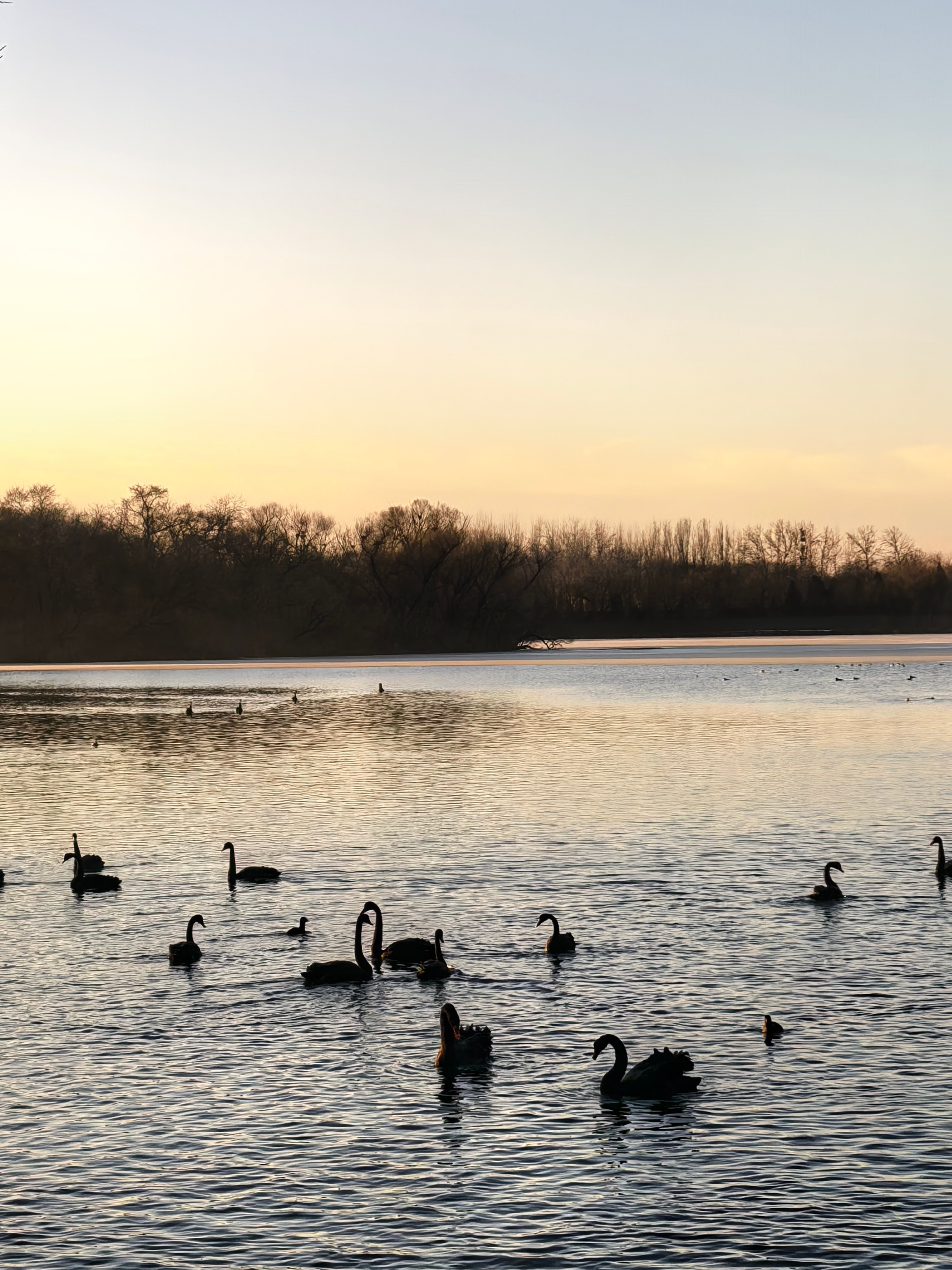 S-买了商业航天（卫星）、液冷、福建平潭概念、海南自贸各1支，每支100股。如果