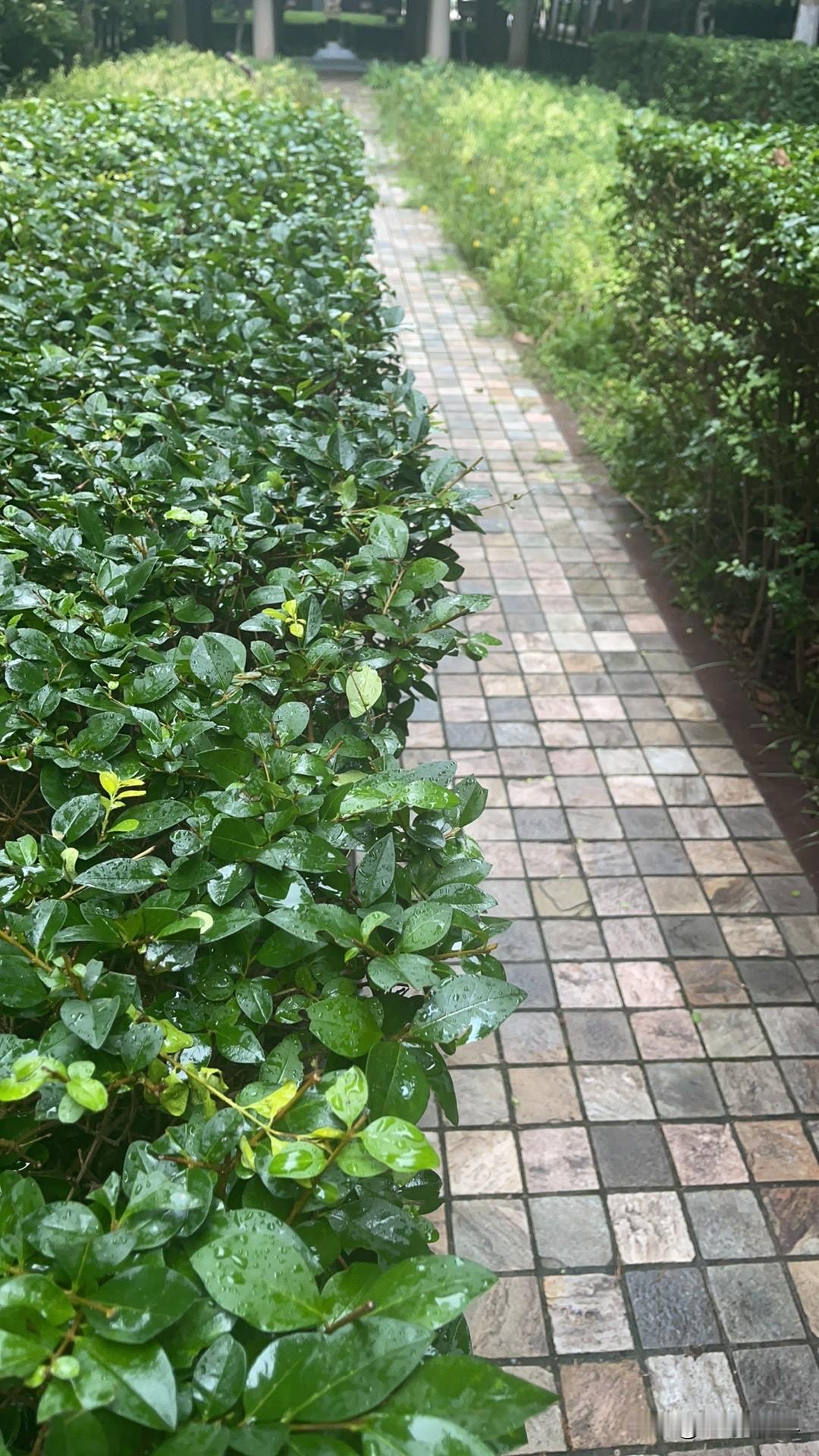 美国为何插手霍尔木兹海峡事务不插手怎么办，战争打响了，就得打下去