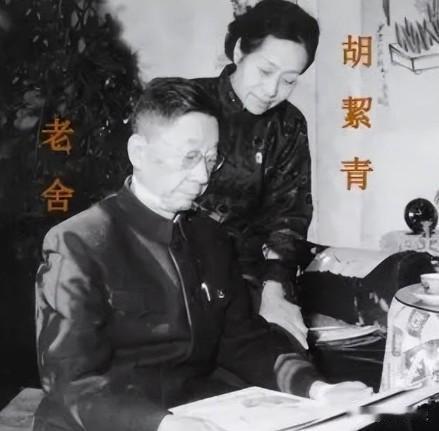 1966年，作家“老舍”被妻子举报，随即被一群人带走，傍晚时分，老舍浑身是伤，一