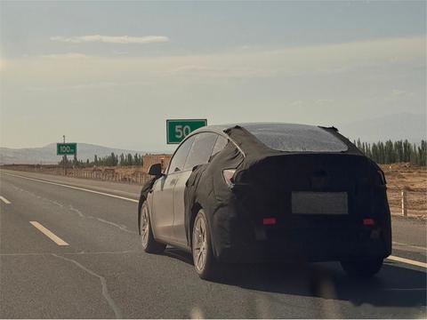 懂车之道讯 近日，懂车之道获悉，网络上曝光一组特斯拉Model Y L伪装实车图