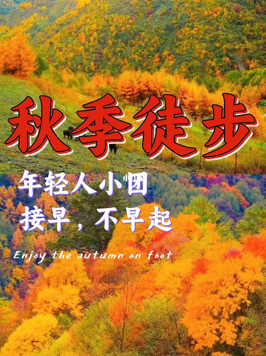 不开车❗️70条将被刷屏的成都周边踏秋路线