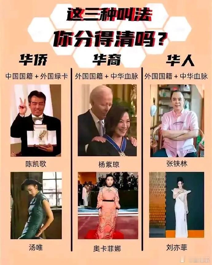 华人、华侨和华裔傻傻分不清[思考][思考] ​​​