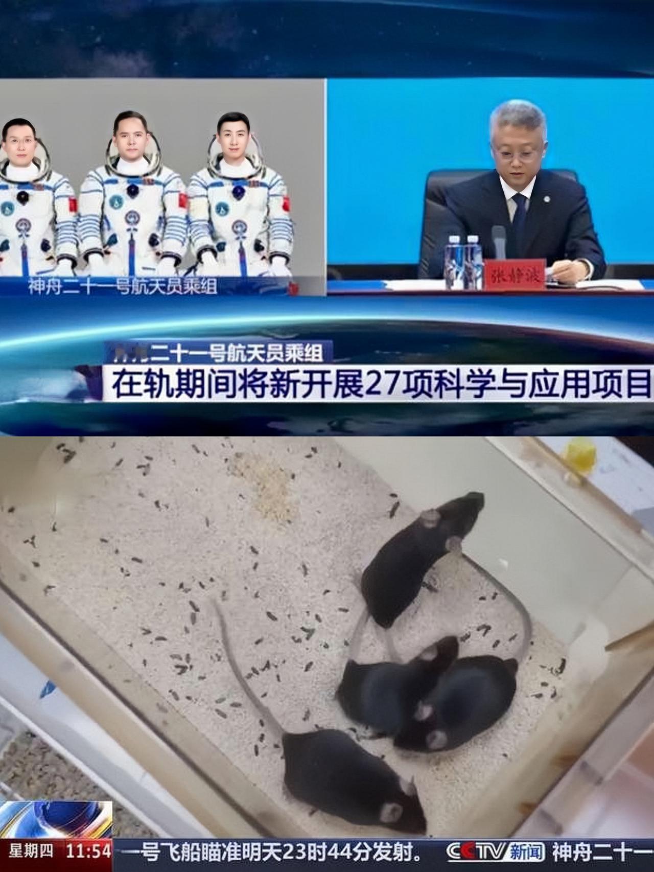这下真是声名远扬，不光在东方大国，连全球都知道了。
三名航天员和四只小老鼠一起搭