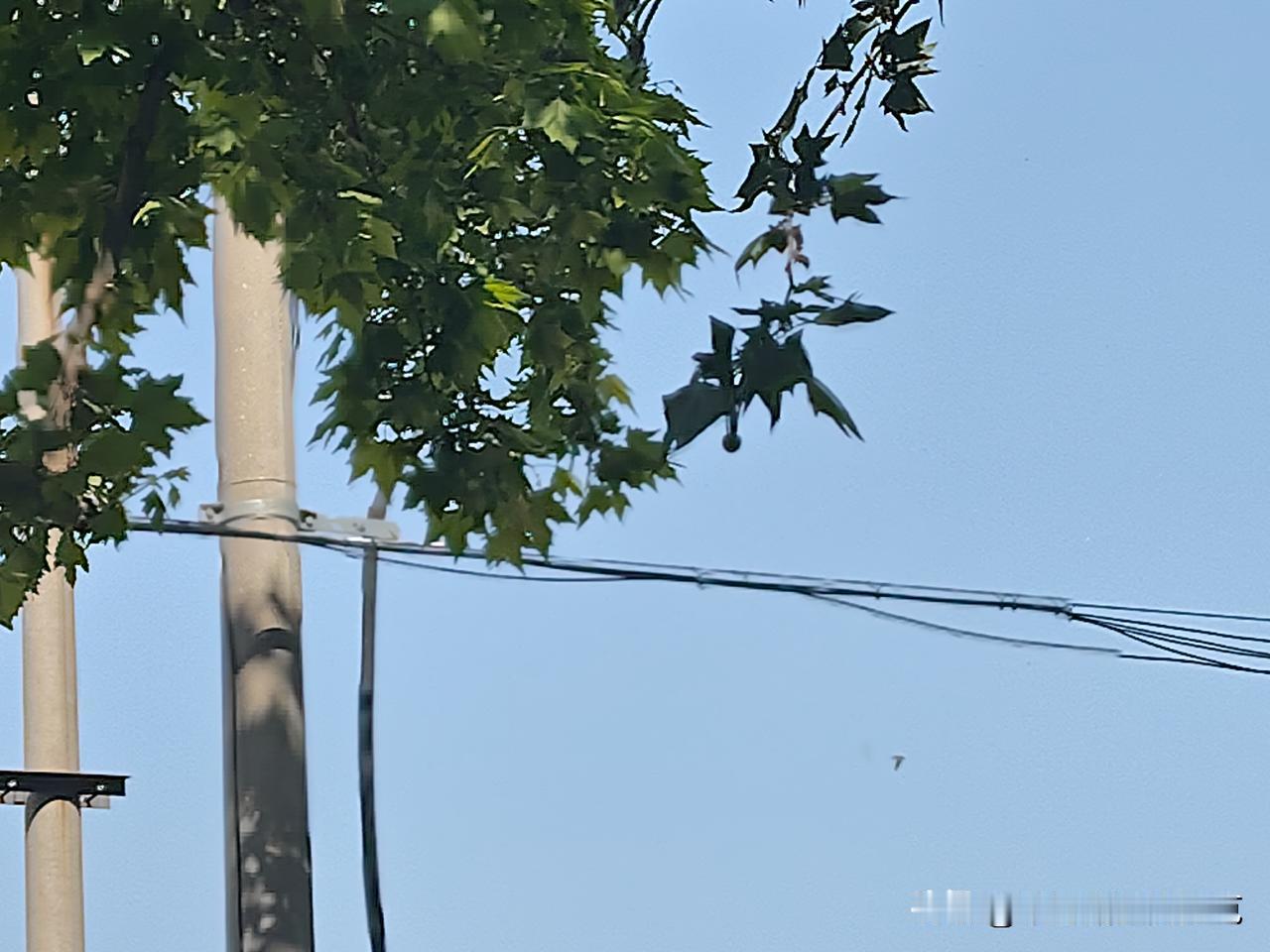 又是崭新的一天
一天好心情