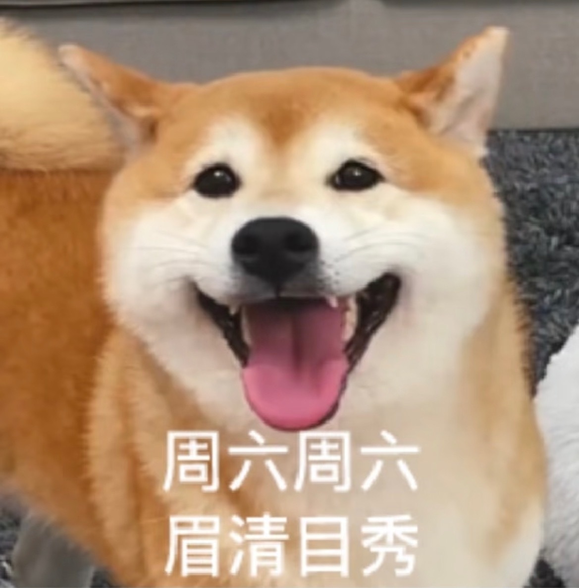 早哇家人们～元旦都去哪里玩啦元旦假期消费新图鉴早安