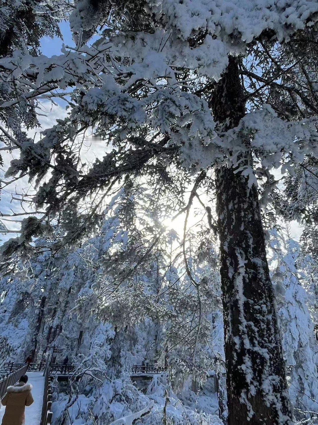 三餐四季  三五好友一起去玩雪了，雪地里留下了我们的欢声笑语和深深浅浅的脚印。冬