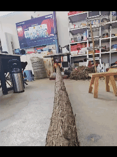 一冬天，一根柴就够了