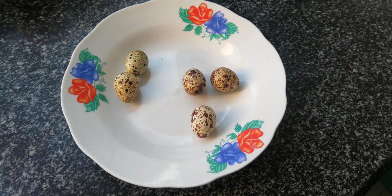 养两只鹌鹑随时有蛋吃
这是我家以前养的鹌鹑，连续养了三年经不起妻子的埋怨，说臭，