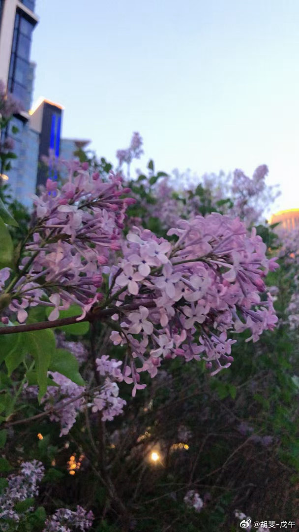 春风杨柳万千条，六亿神州尽舜尧。红雨随心翻作浪，青山着意化为桥。天连五岭银锄落，