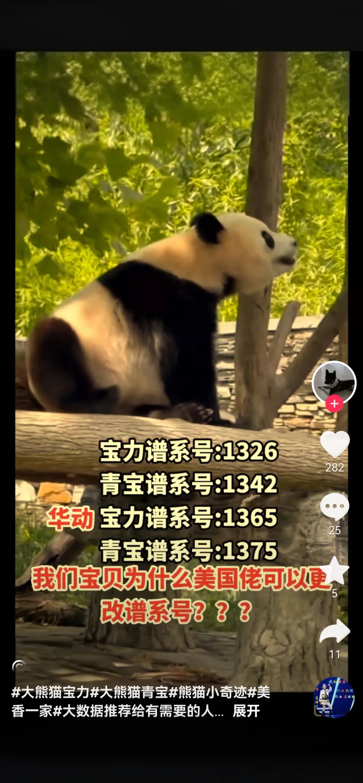 扯淡的事情干的很专业
专业的事情干的很扯淡
#青宝宝力# #接洋洋伦伦一家四口早