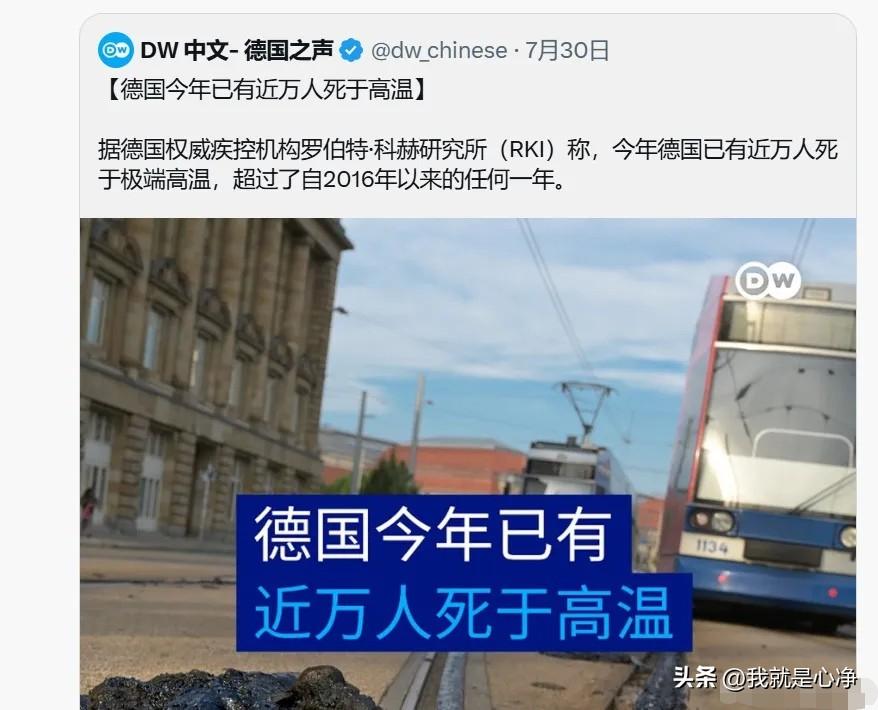 哎哟，德国媒体，你瞎说什么大实话呀？
你说说你自己都说实话了，让那些水军怎么帮你