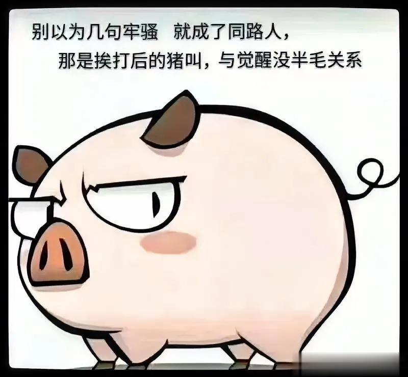 别以为几句牢骚，就成了同路人，那是挨打后的猪叫，跟觉醒没半毛钱关系。

非常有道