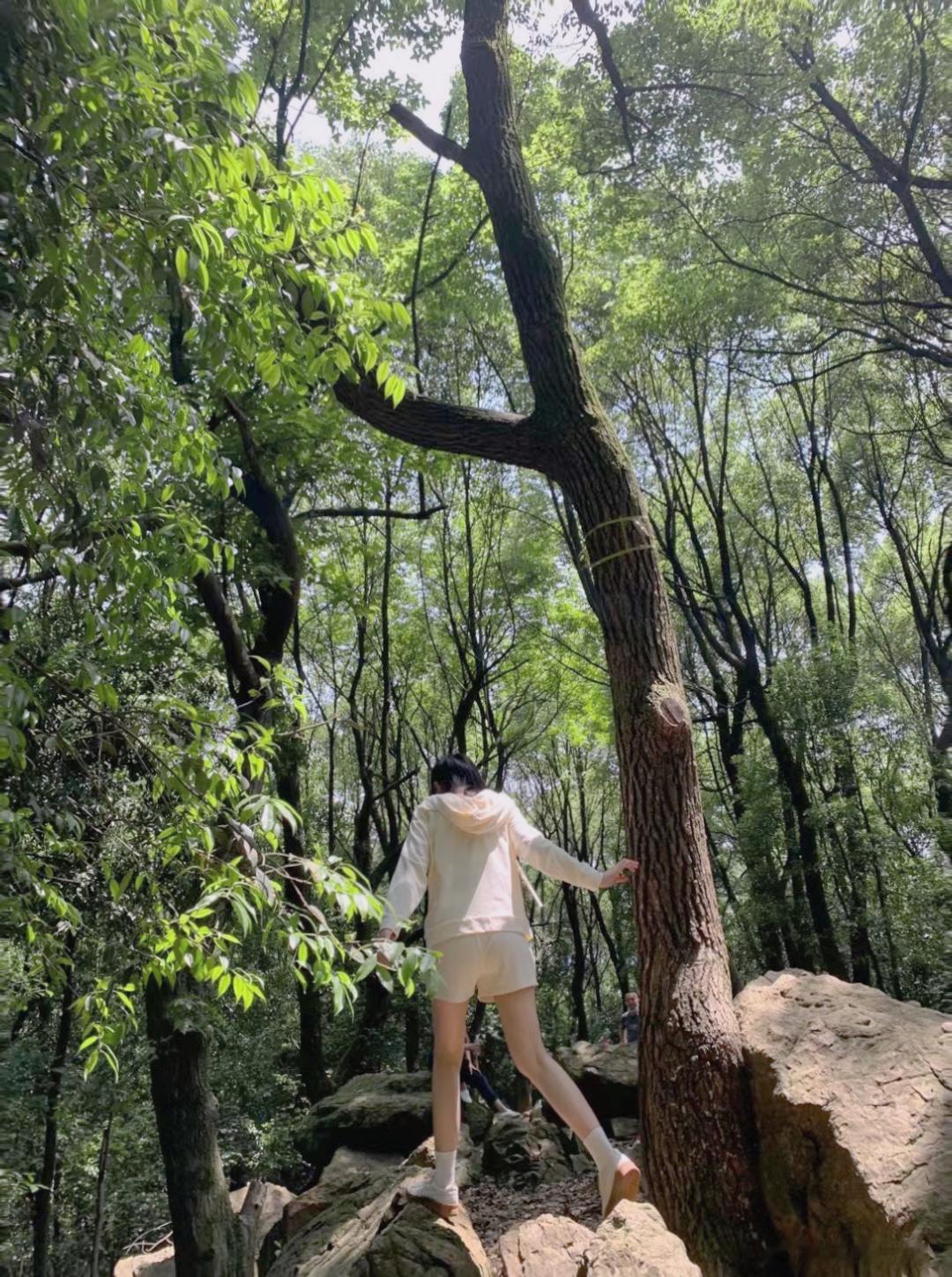 [丰收了] ​​​