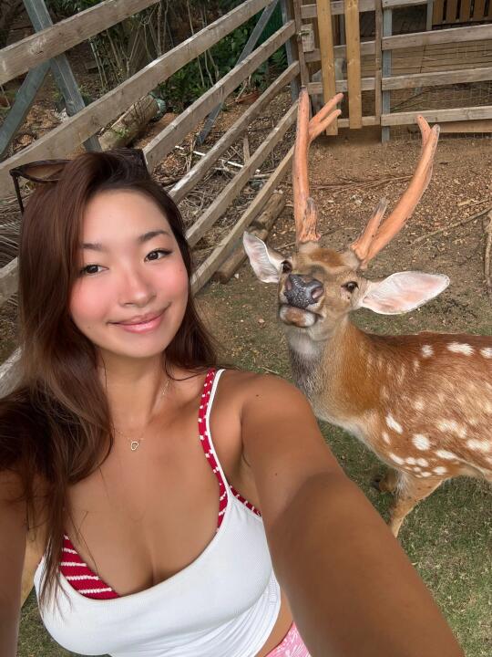 去了这里谁还去🇯🇵奈良摸鹿啊🦌？