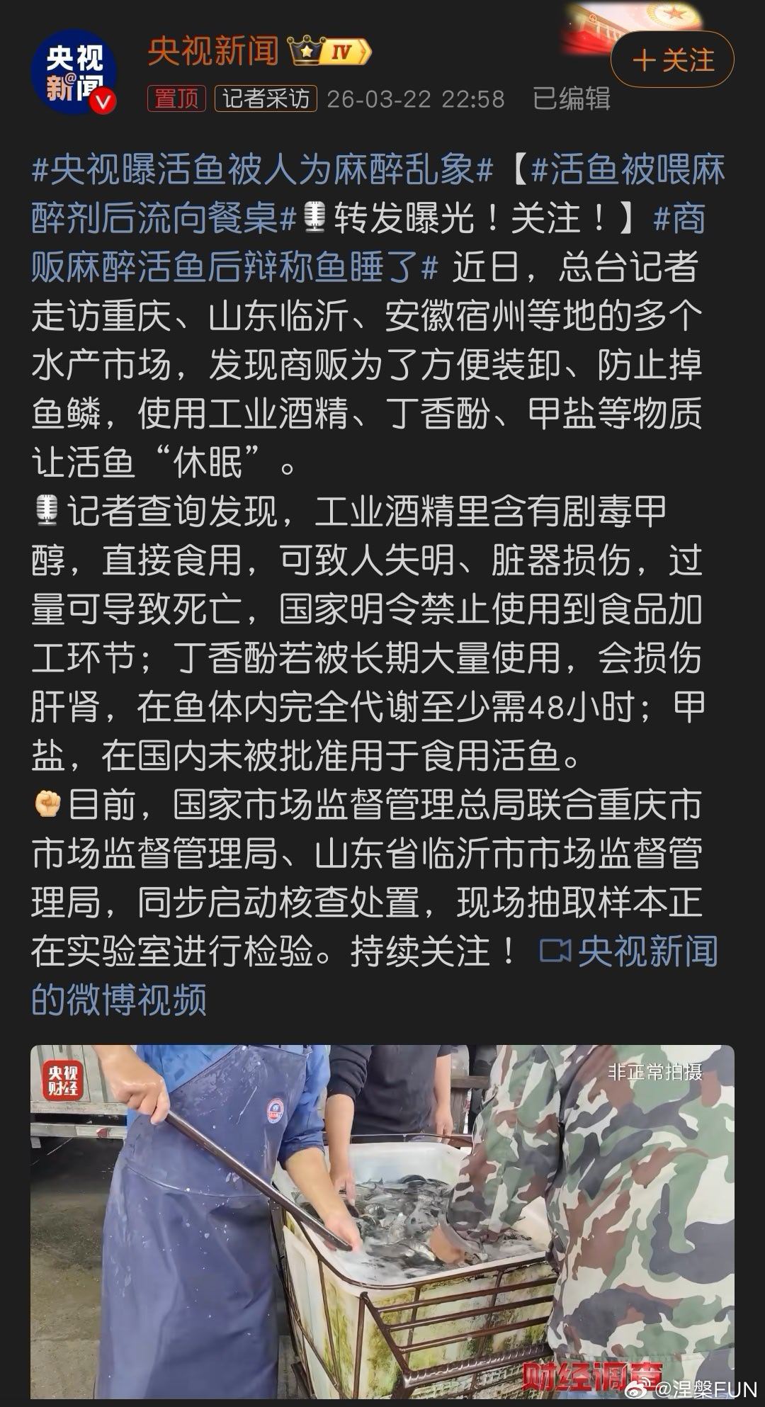 央视曝活鱼被人为麻醉乱象我的乖乖，我那么喜欢吃鱼的人，看了这个新闻以后鱼都不敢吃