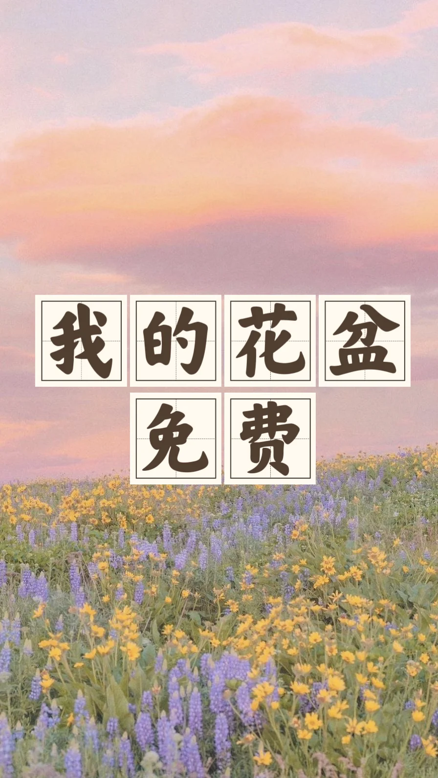 省钱经501:植物免费，花瓶免费