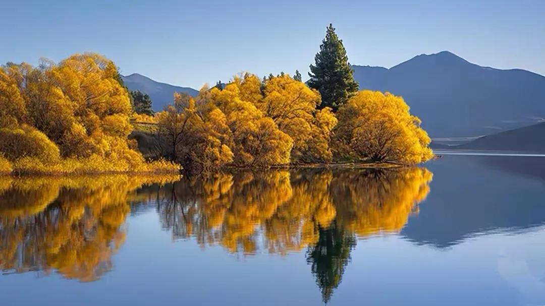 在朋友圈里，我很佩服他的社交能力，戏称“膏药贴”，走到哪粘到哪。
刚开始创办企业