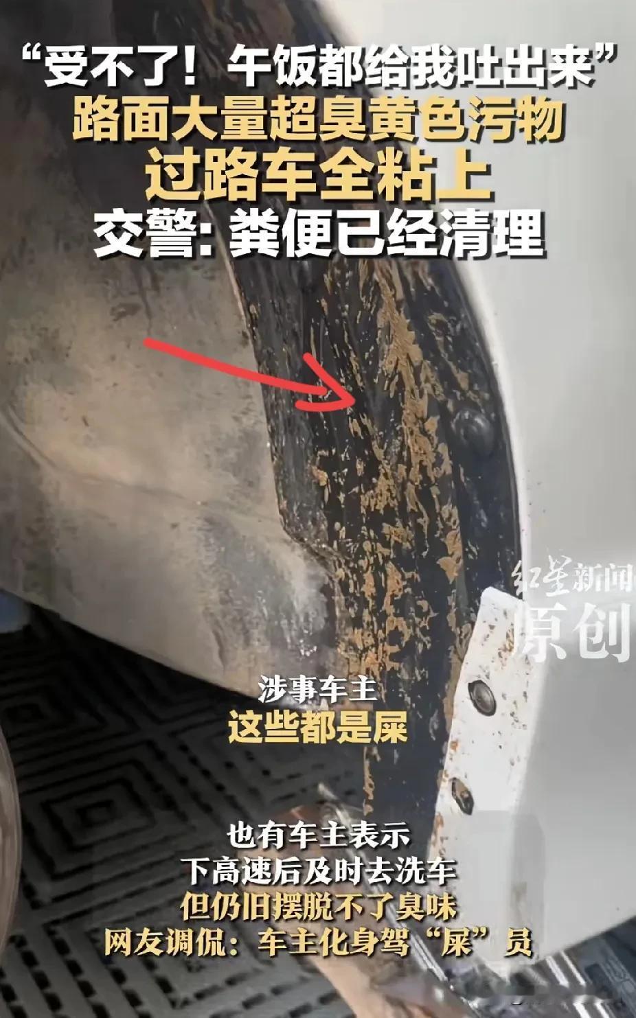 “臭得受不了”！广东汕头高速，路面出现大量刺鼻臭味的排泄物，过往车辆全都被沾上，