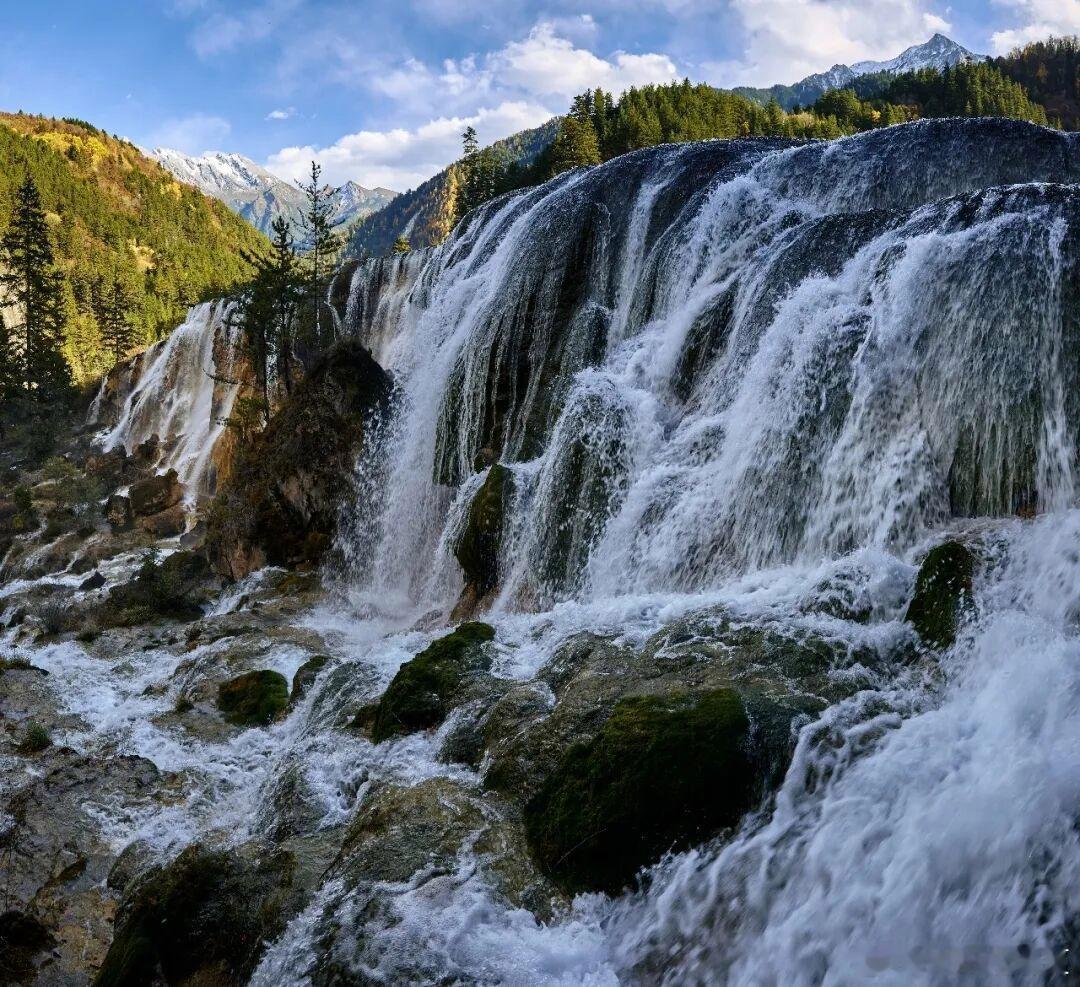 周末放风出游，快乐满满！ 