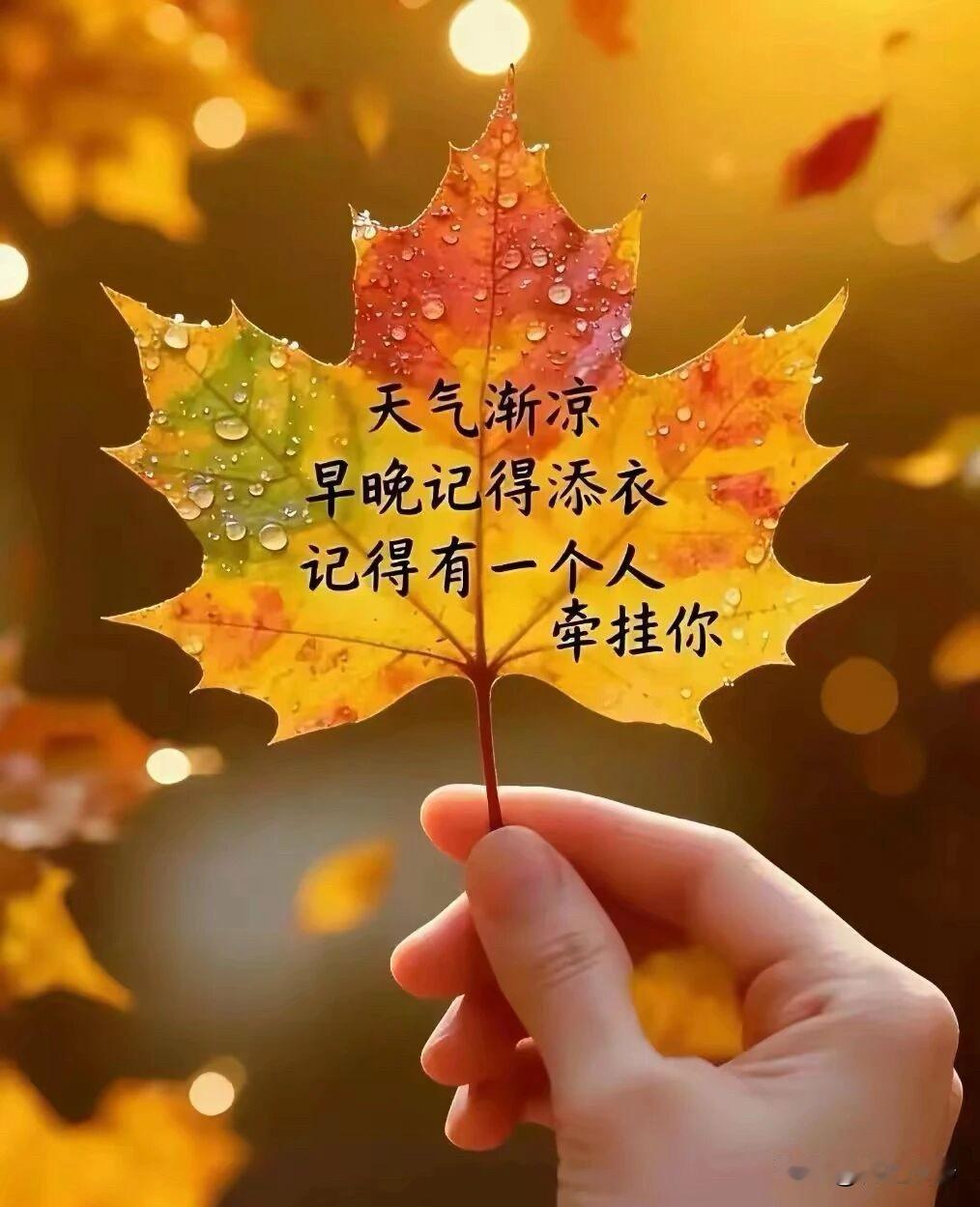 🍂²⁰²⁶/₁₀/₂₄ ᵕ̈ 周六早安｜闲伴日常☕️🍒🍑🐎
晓日透疏林，