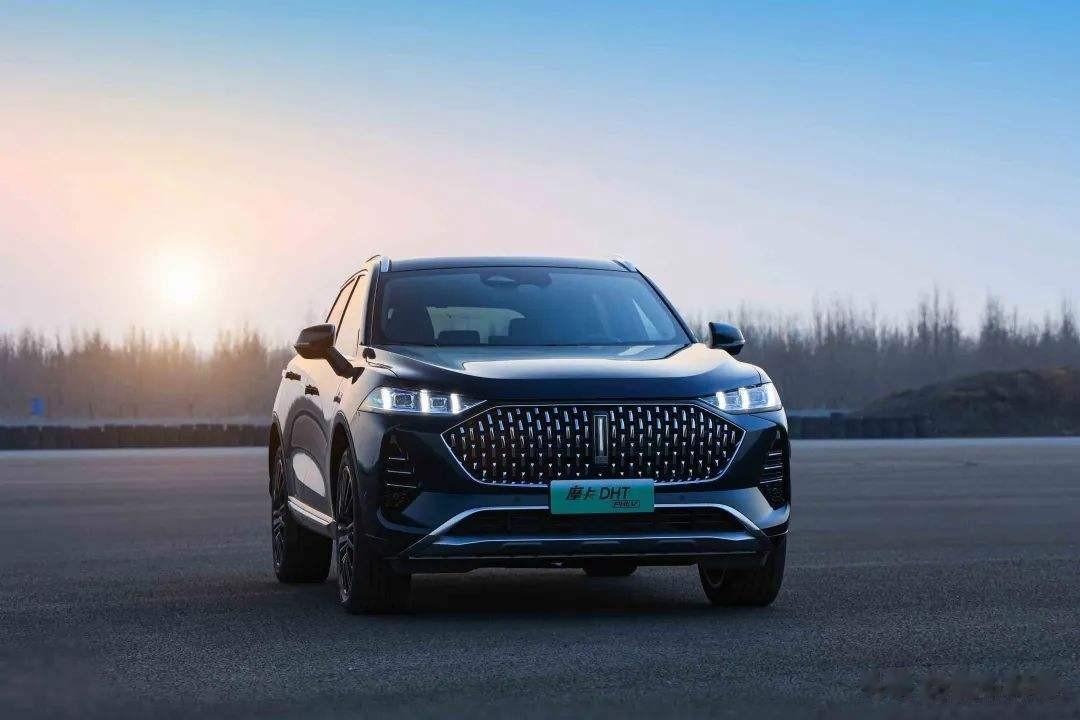 1005辆，作为长城汽车旗下的中型SUV，摩卡DHT-PHEV的月销量终于破千，