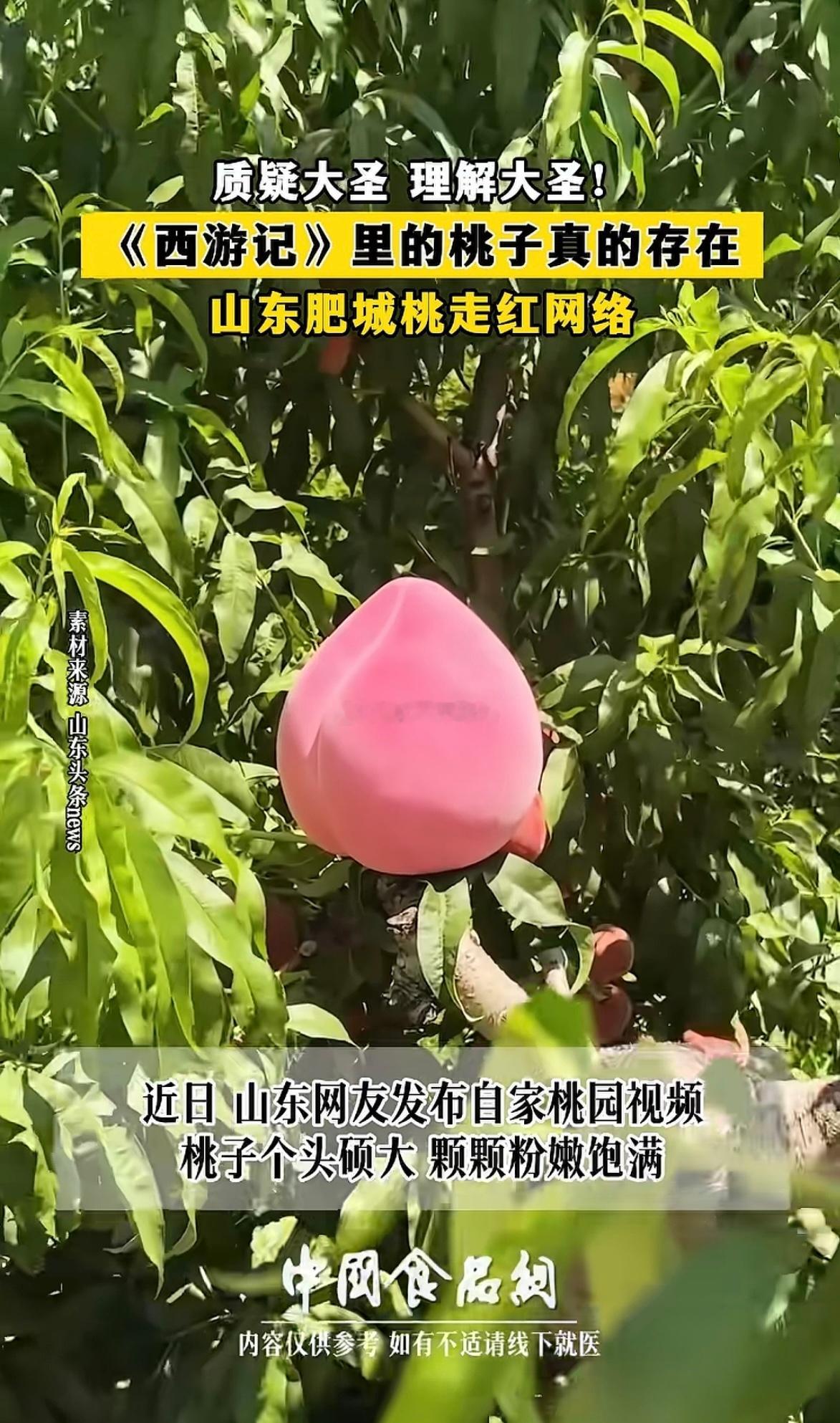 00后小编都上岗了哦！ 
