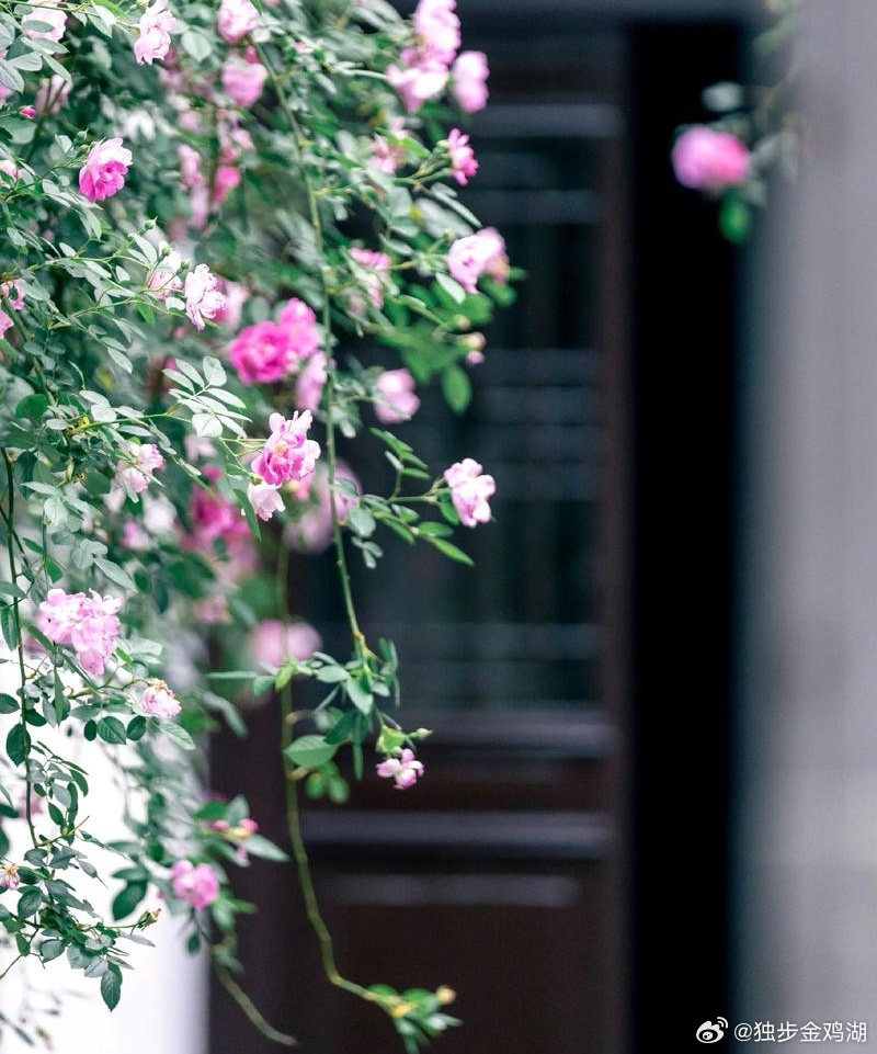 心里话         处世之道，在于容；心宽，则路广；量大，福自来。     