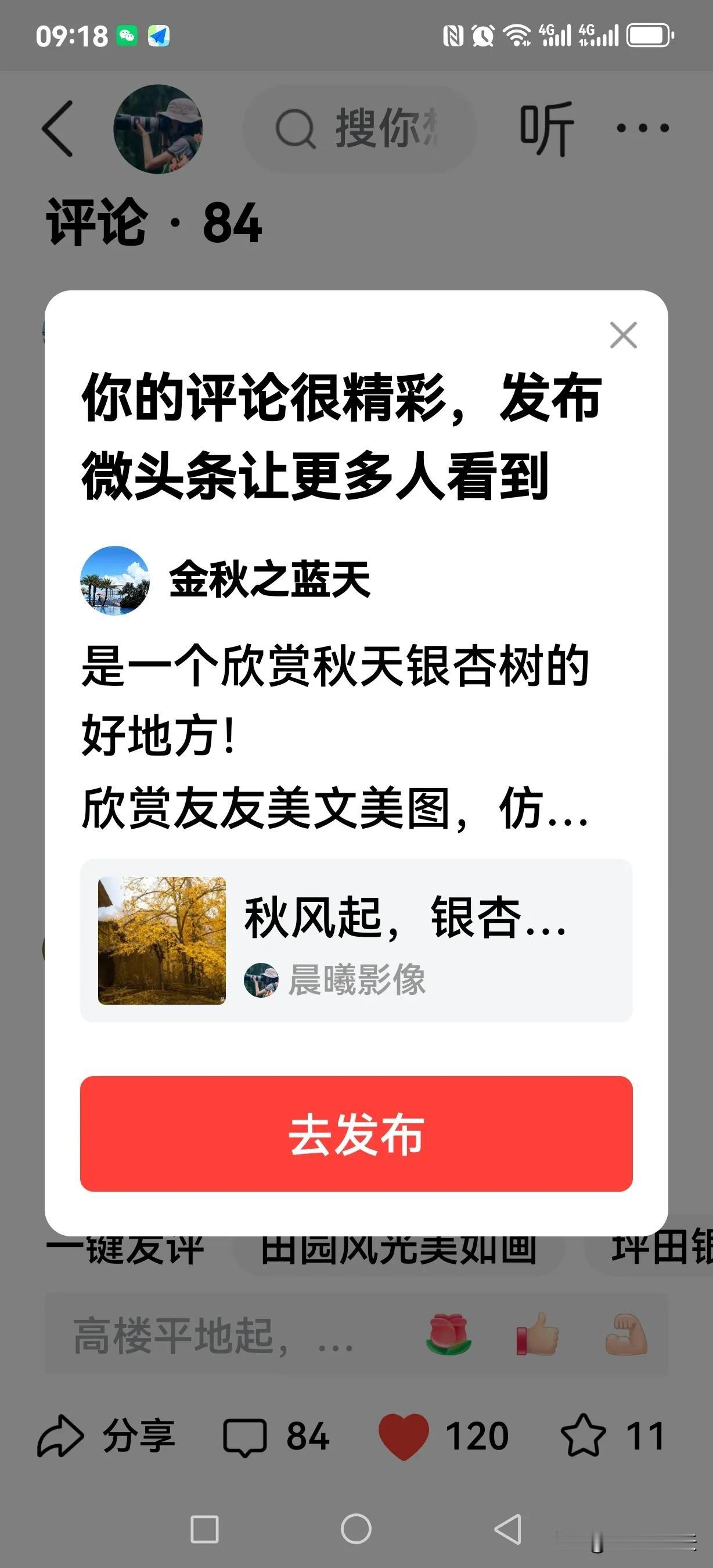 是一个欣赏秋天银杏树的好地方！
欣赏友友美文美图，仿佛也亲临这秋天风景绝美的地方