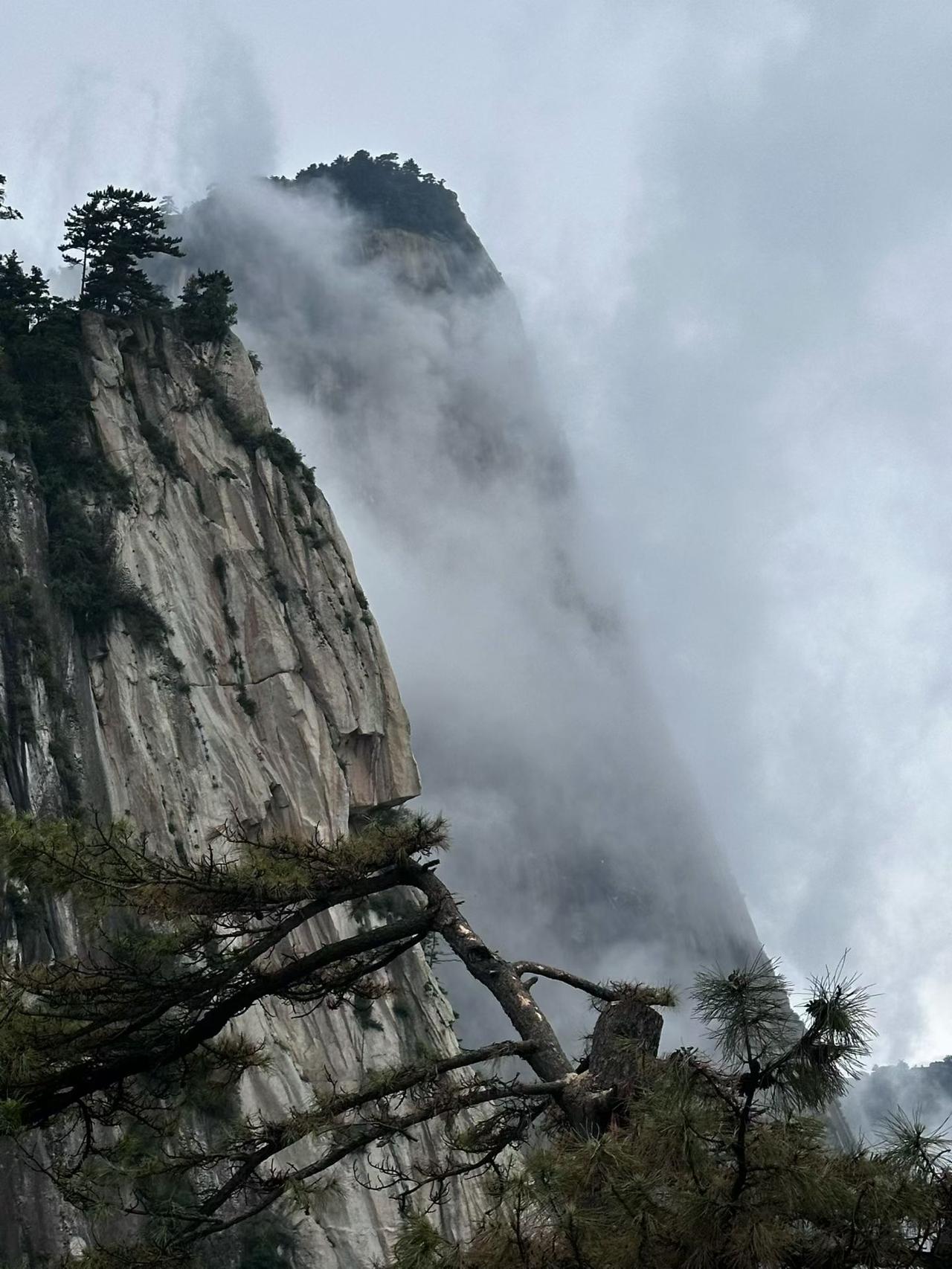 西岳华山
随手拍下的美好时光