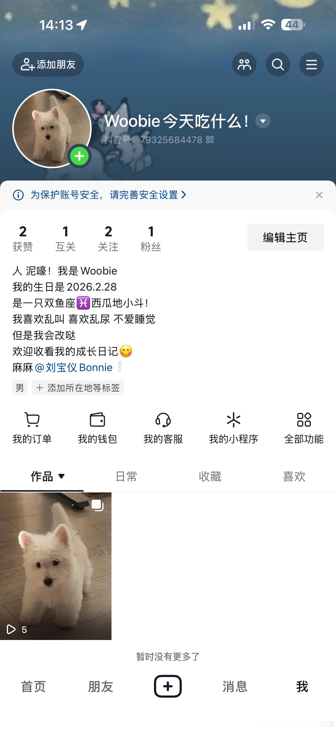 woobie有自己的账号惹！欢迎各位ee一起来看小笨狗长大