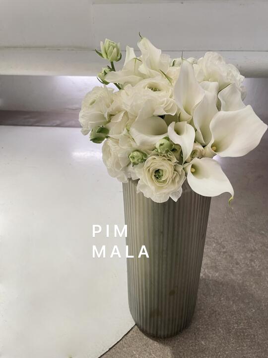 PIMMALA｜白色🕊
