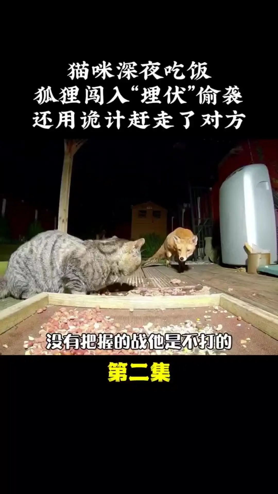 内容启发搜索 动物世界