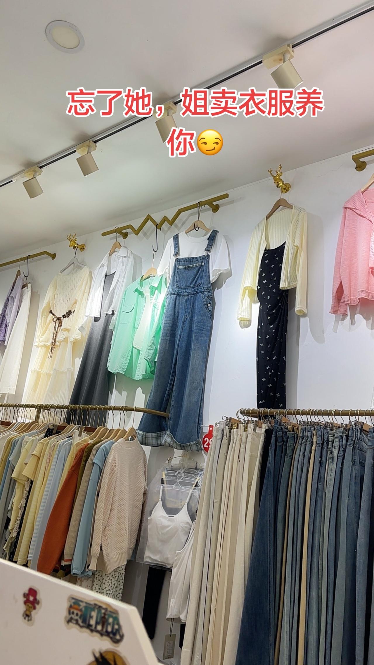 忘了她，姐卖衣服养你