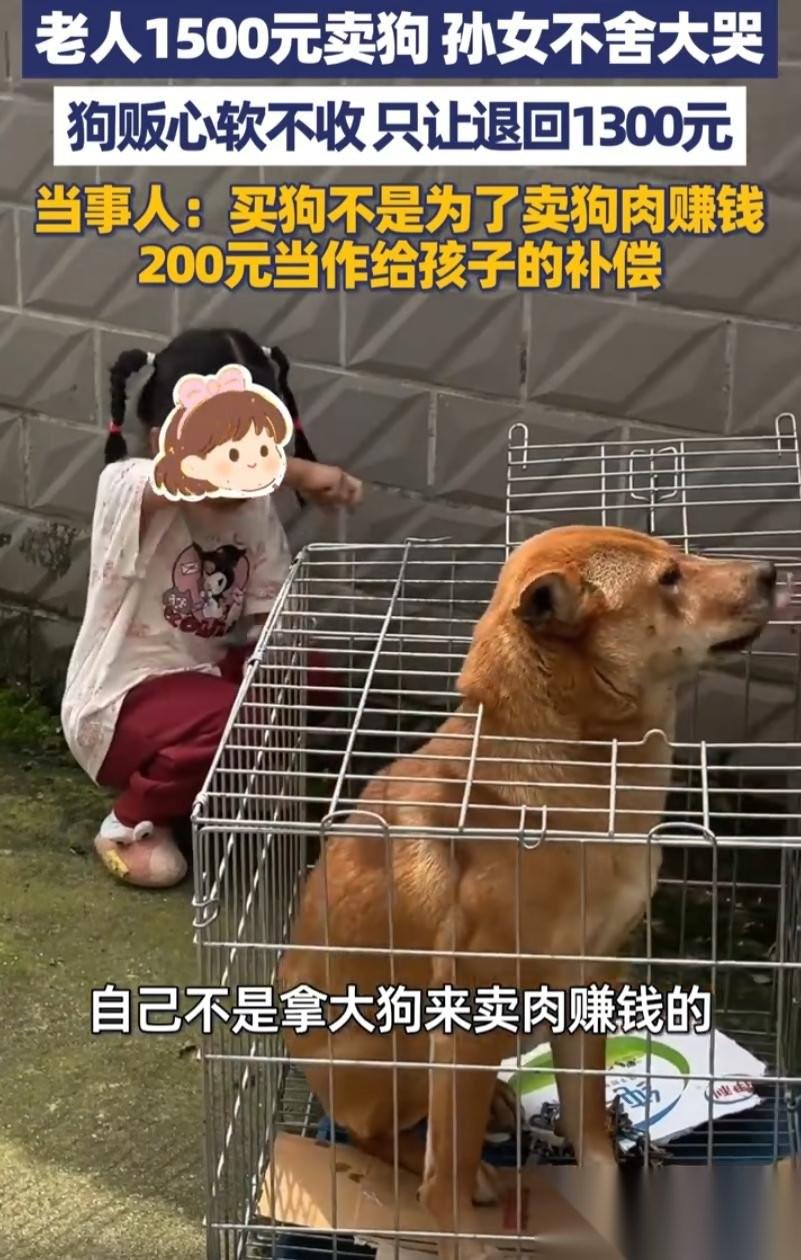 广西桂林，一个收狗的师傅开着三轮车进了村，在巷子里转了一圈，停在一户人家门口。跟