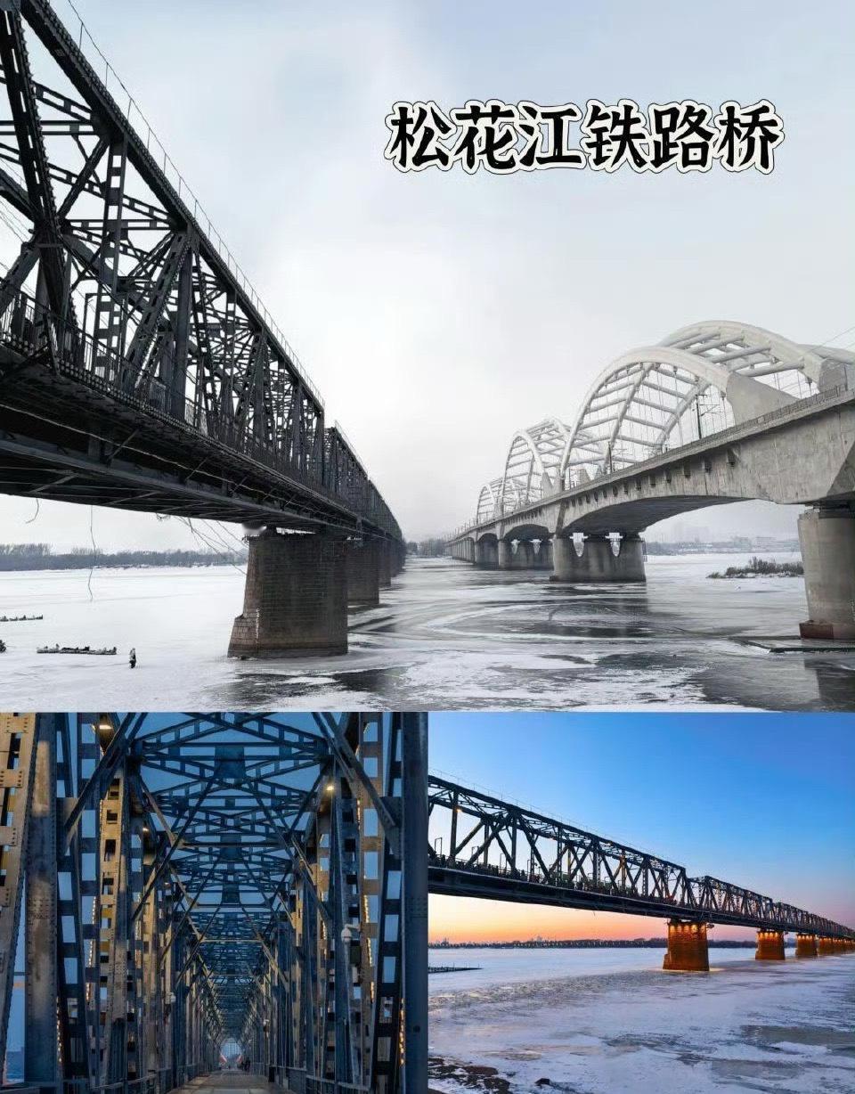 香港游客被尔滨宠上了天  尔滨把游客照顾得太周到了。我一直想去哈尔滨感受冬天，和