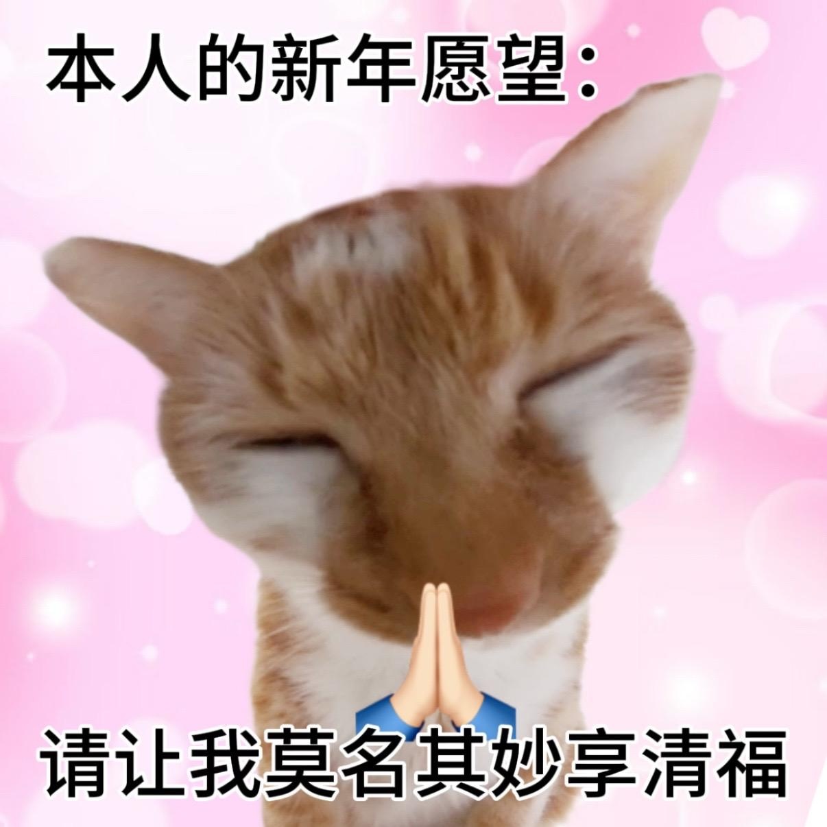 跨年不知道发什么就发表情包吧，一年啥也没得到只得到了这些表情包🌹 