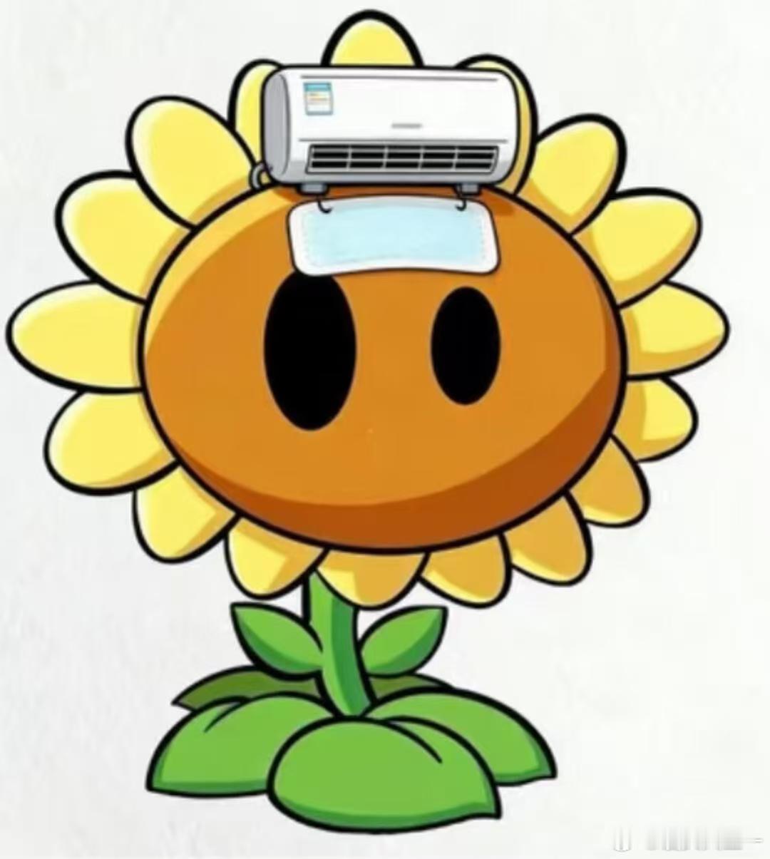 歌迷给薛之谦种太阳薛之谦我们把太阳种出来了 谦友们用行动种太阳，只为每一场演出都