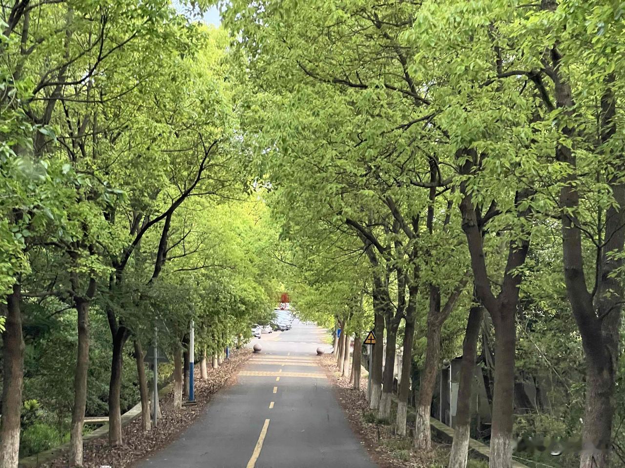 今天是二零二六年五四青年节，闲来落笔，浅浅留个记号。岁月温良，从不辜负少年气节。