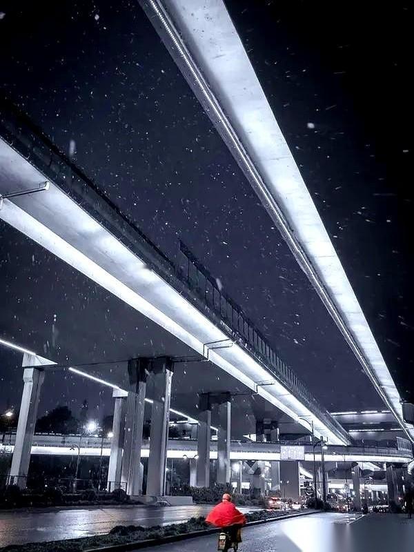 学校今天停课，我看着窗外的大雪，心里一点也高兴不起来。
说真的，我甚至觉得这个决