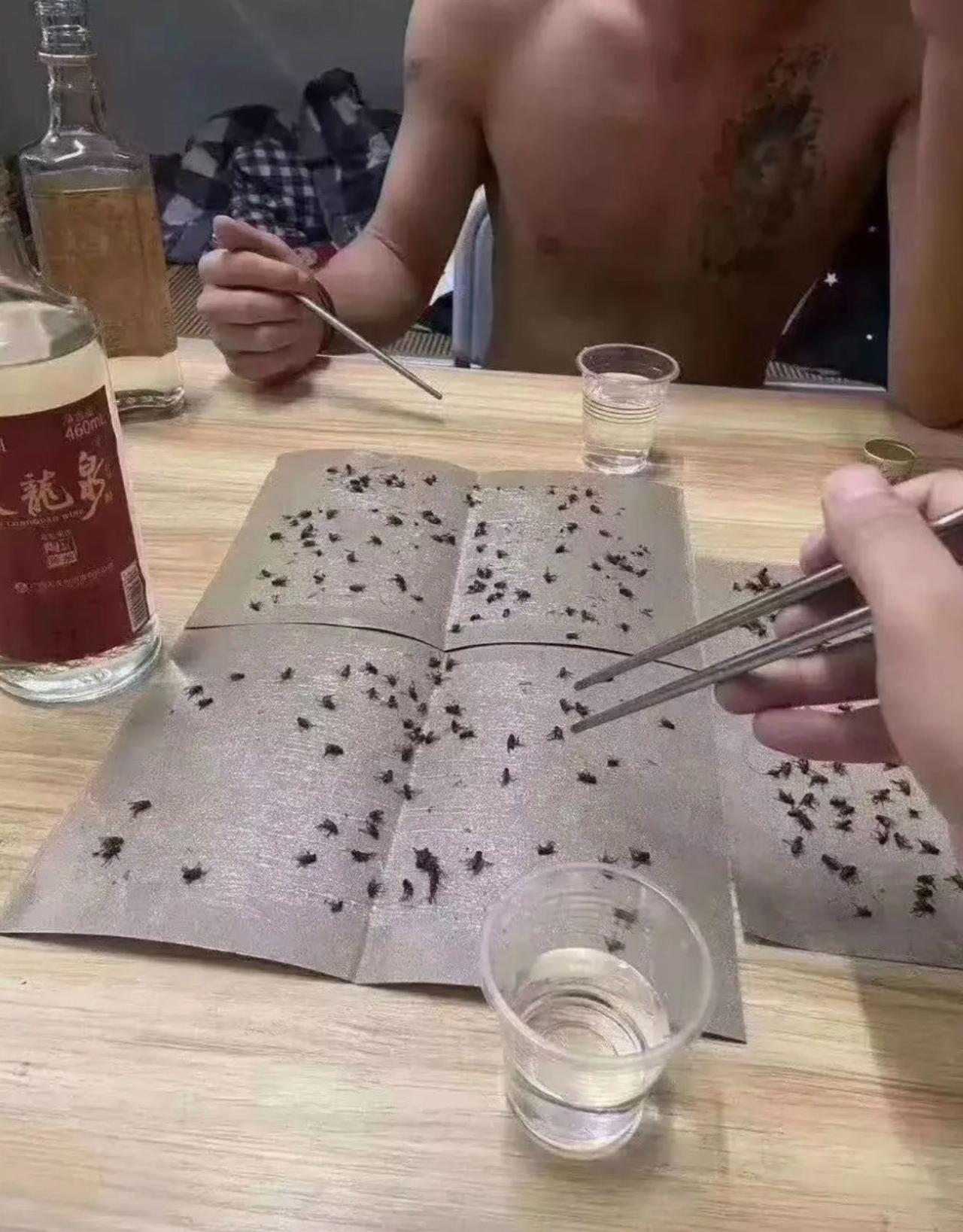 这桌硬菜，一分钱没花，一般人还真下不去嘴。
别人下酒靠卤味花生，这哥俩直接就地取
