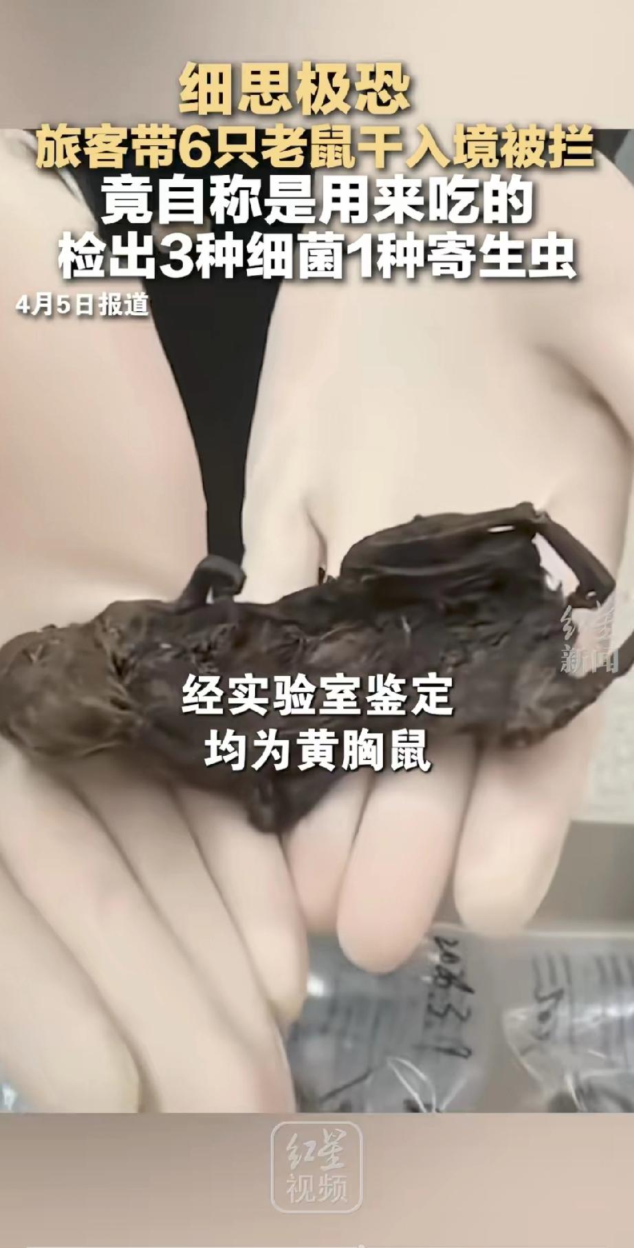 “细思极恐”！真的越想越让人后怕，2026年3月19号，合肥新桥机场海关，工作人