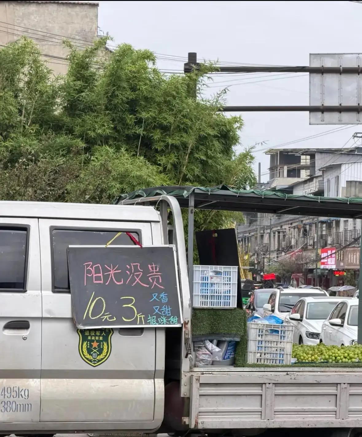 阳光没贵”10元3斤，这价格摆出来，精明主妇眼睛都亮了。

阳光玫瑰巅峰期卖过上