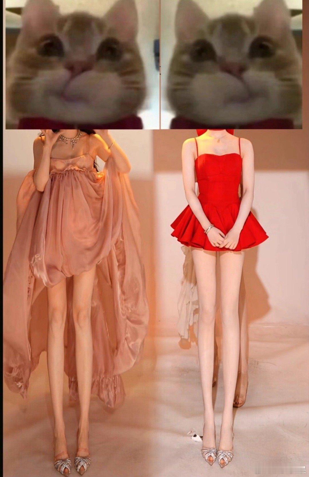 团播 美颜拉腿求求了，赶紧整治一下他们吧，每次一刷到那些团播就能看到一双双大长长