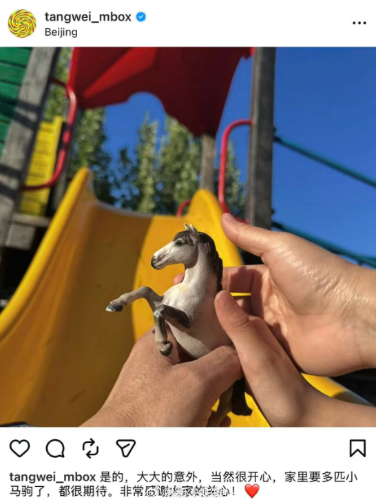 汤唯宣布怀二胎汤唯回应怀二胎