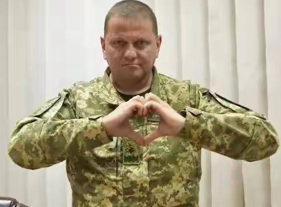 扎卢日内其实更比泽连斯基适合就任乌克兰的总统，因为扎卢日内是军人出身，加上现在乌