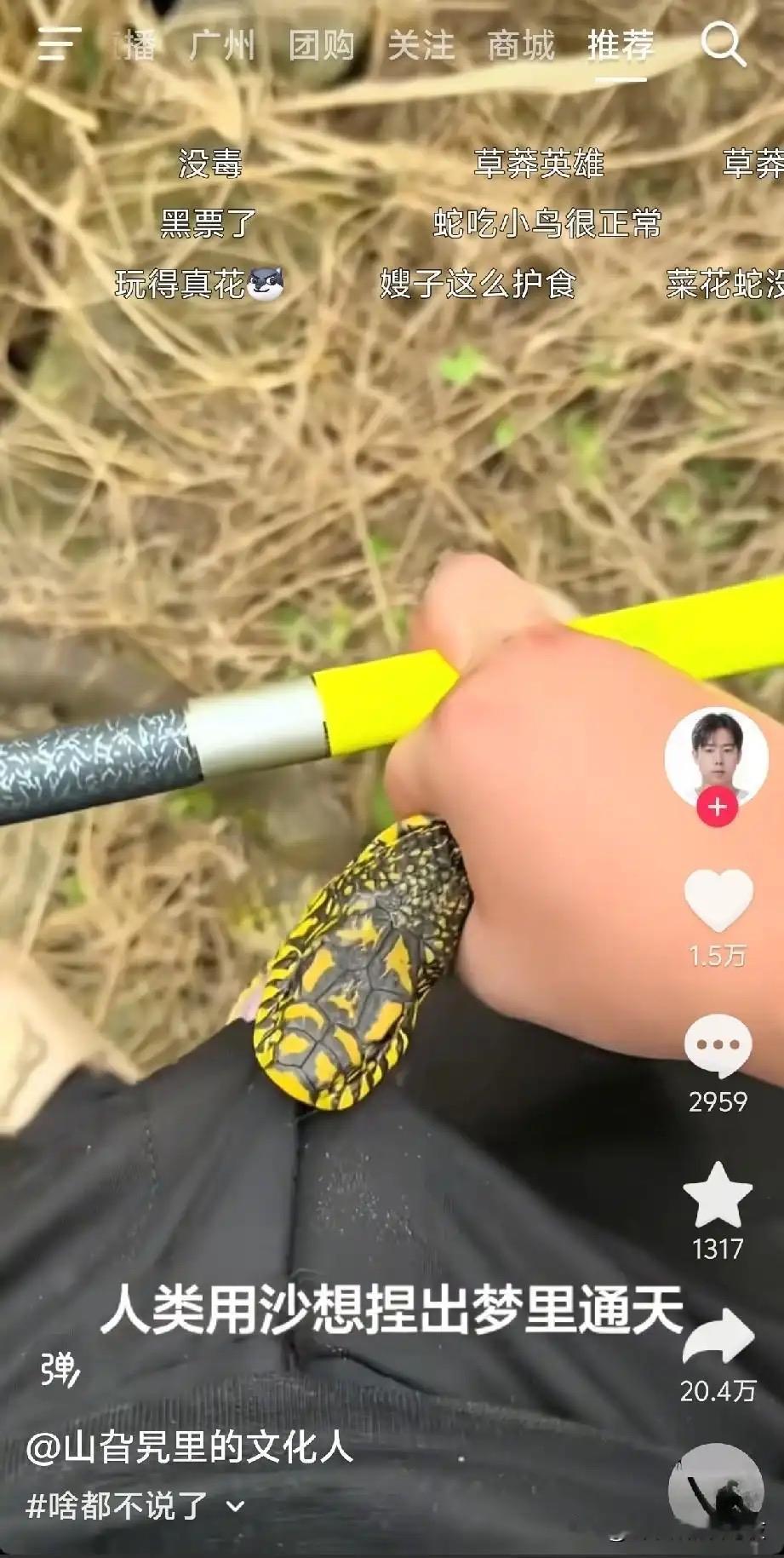属实大开眼界，这才是狠人！徒手直接捏住大蛇脑袋，花纹看着冲击力十足，蛇全程都懒得