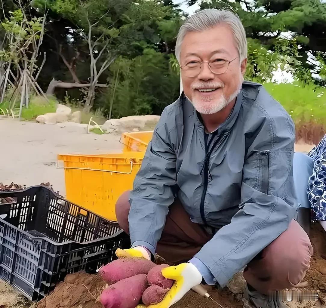 韩国卸任总统文在寅，在自家的小农场里，手捧栽种的紫皮地瓜丰收了。笑意盈盈加上斑白