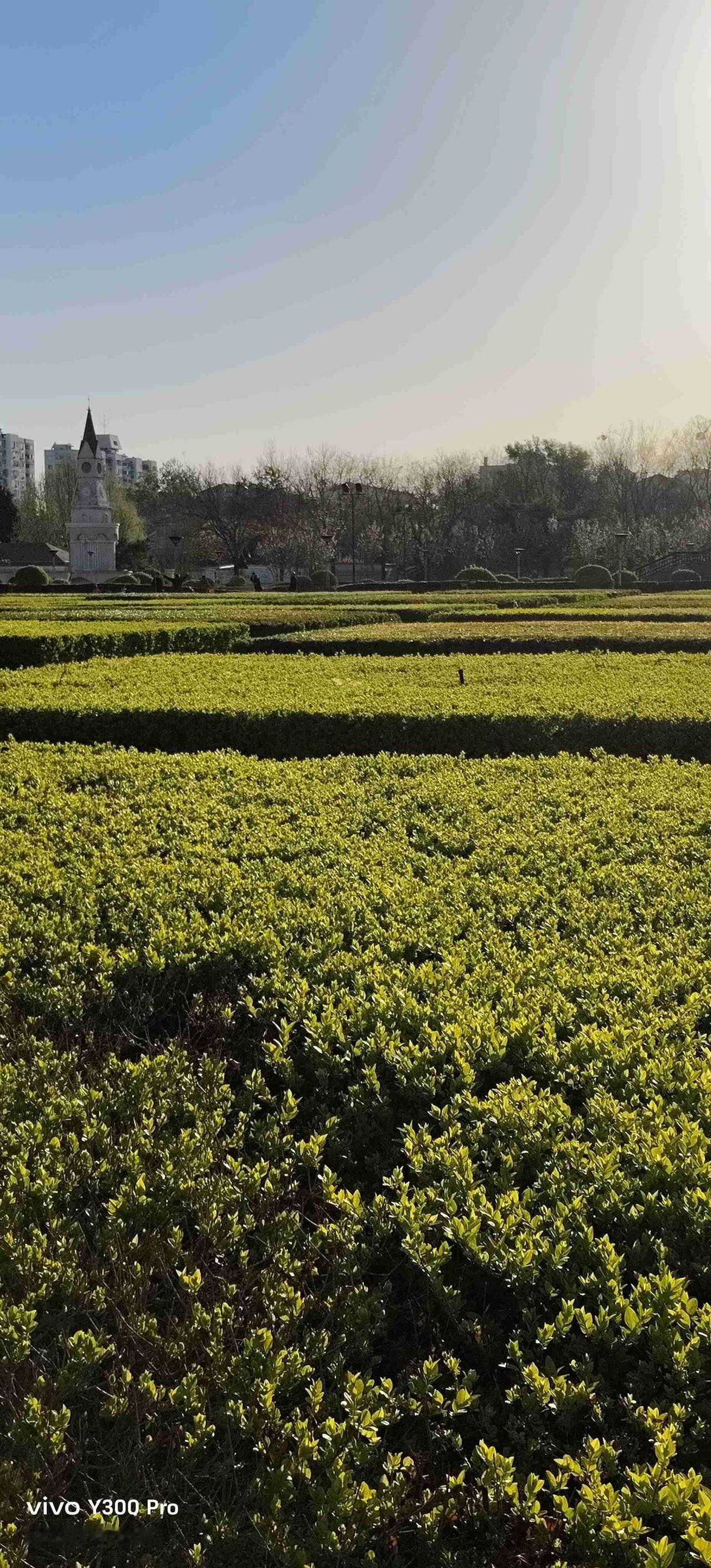 我的今日状态：😁轻松愉快
我这里的天气：☀️晴天